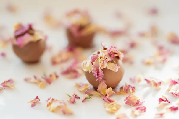 Andromeda Casino Android/iOS Forrit